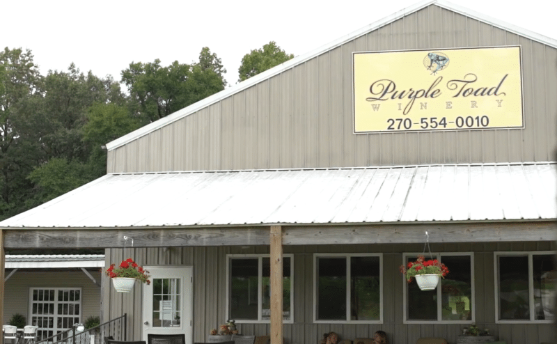 purple toad winery with american rotary phase converters